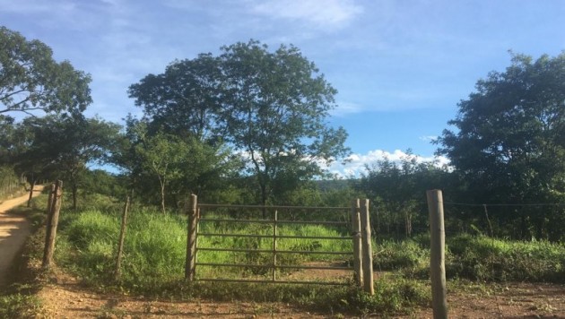 Terreno