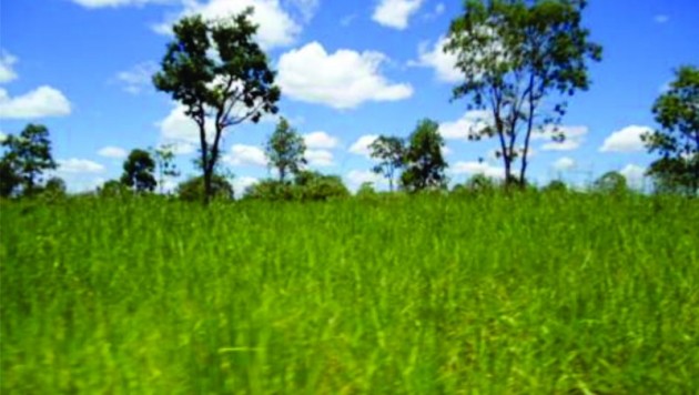 Fazenda