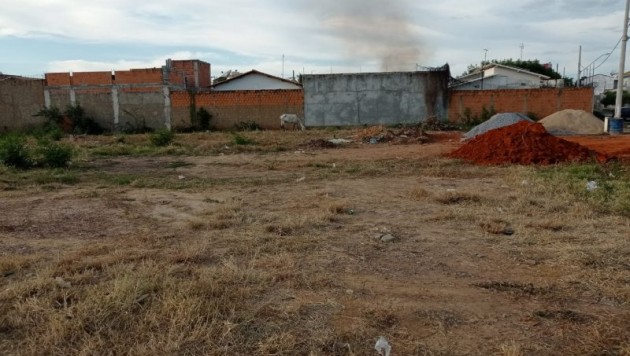 Lote