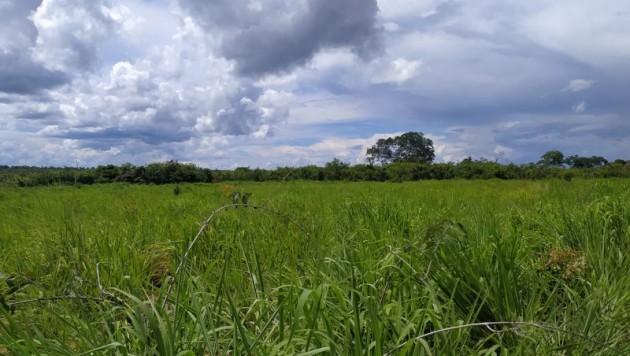 Fazenda
