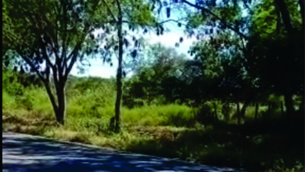 Fazenda