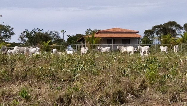 Fazenda