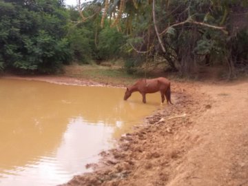 Terreno - Venda - Zona Rural - Janaúba - MG