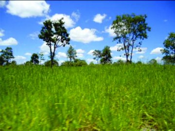 Fazenda - Venda - Zona Rural - Ibia - MG