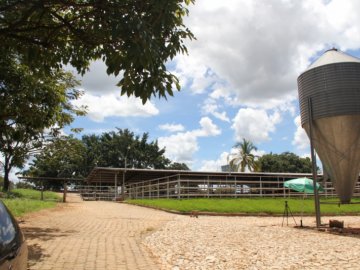 Fazenda - Venda - Zona Rural - Belo Horizonte - MG