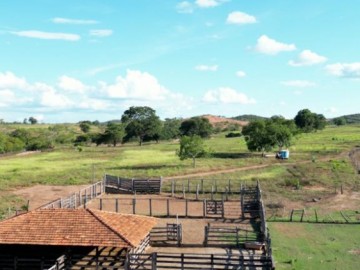Fazenda - Venda - Zona Rural - Capitão Eneás - MG