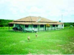 Fazenda - Venda - Porteira São João - Pintopolis - MG