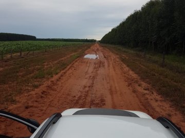 Fazenda - Venda - Zona Rural - Bonfinopolís de Minas - MG