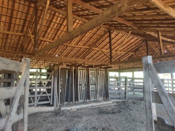 Fazenda - Venda - Zona Rural - Janaba - MG