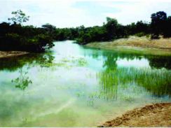 Fazenda - Venda - Porteira São João - Pintopolis - MG