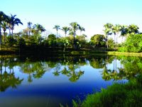 Fazenda - Venda - Zona Rural - Januaria - MG