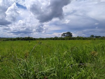 Fazenda - Venda - Zona Rural - Buritizeiro - MG