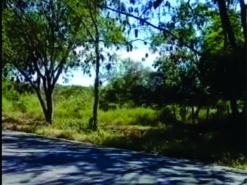 Fazenda - Venda - Zona Rural - Jaíba - MG