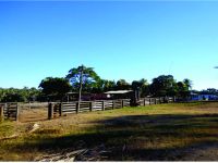 Fazenda - Venda - Zona Rural - Januaria - MG