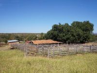 Fazenda - Venda - Zona Rural - Francisco Dumont - MG