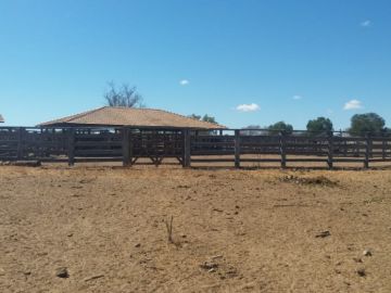 Fazenda - Venda - Zona Rural - Juvenília - MG