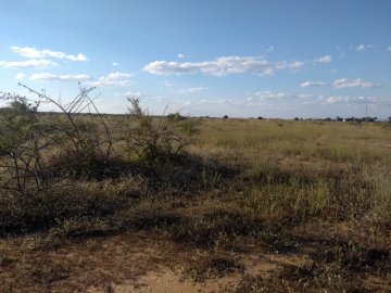Fazenda - Venda - Zona Rural - Janaúba - MG
