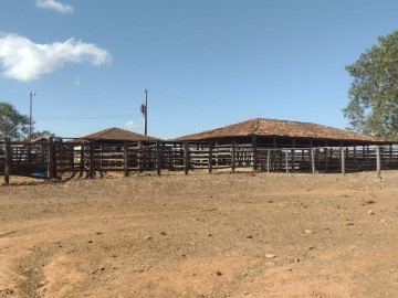 Fazenda - Venda - Zona Rural - Janaúba - MG