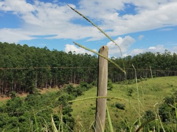 Fazenda - Venda - Zona Rural - Bonito De Minas - MG