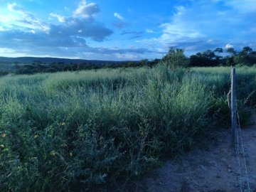Fazenda - Venda - Zona Rural - Janaúba - MG