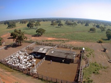 Fazenda - Venda - Zona Rural - Pirapora - MG