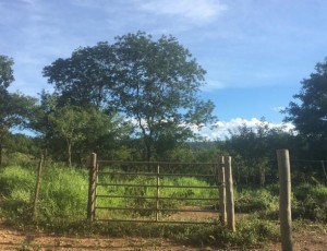 Terreno
