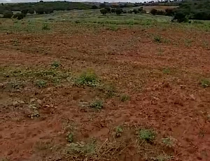 Fazenda
