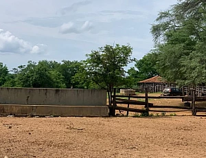Fazenda