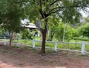 Fazenda