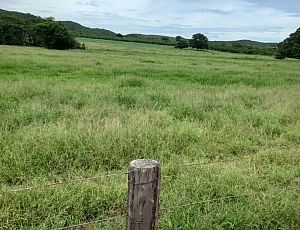 Fazenda