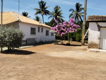 Fazenda - Venda - Zona Rural - Janaúba - MG