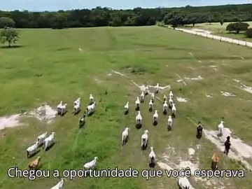 Fazenda - Venda - Zona Rural - Porteirinha - MG