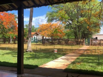 Fazenda - Venda - Zona Rural - Janaúba - MG