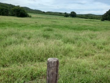 Fazenda - Venda - Zona Rural - Janaúba - MG
